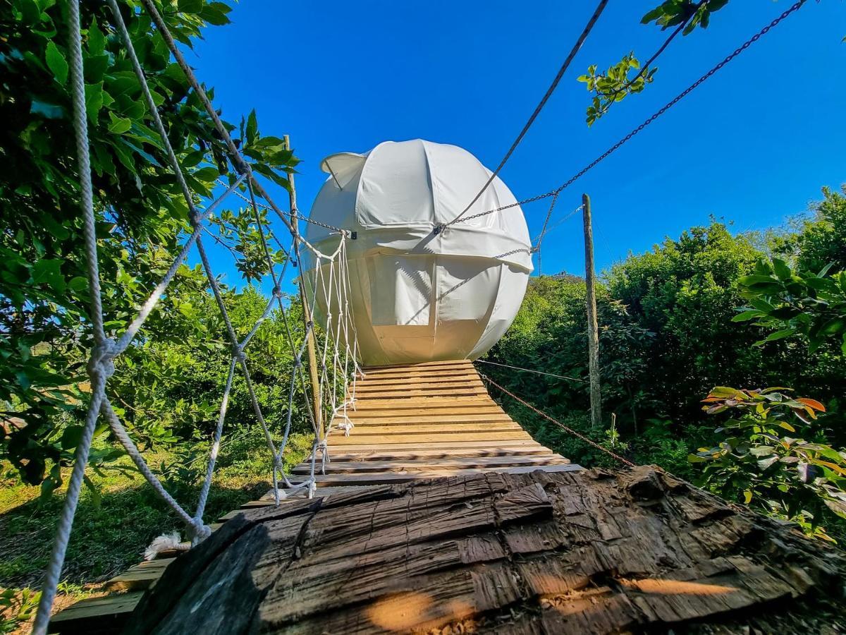 Vila Quinta Do Abacate - Glamping Park Angra do Heroísmo Exteriér fotografie