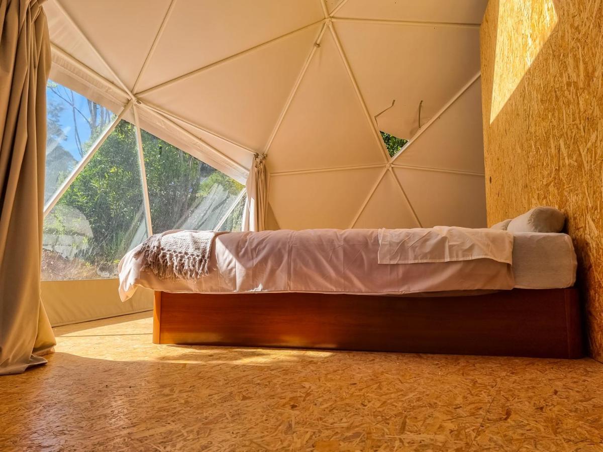 Vila Quinta Do Abacate - Glamping Park Angra do Heroísmo Exteriér fotografie