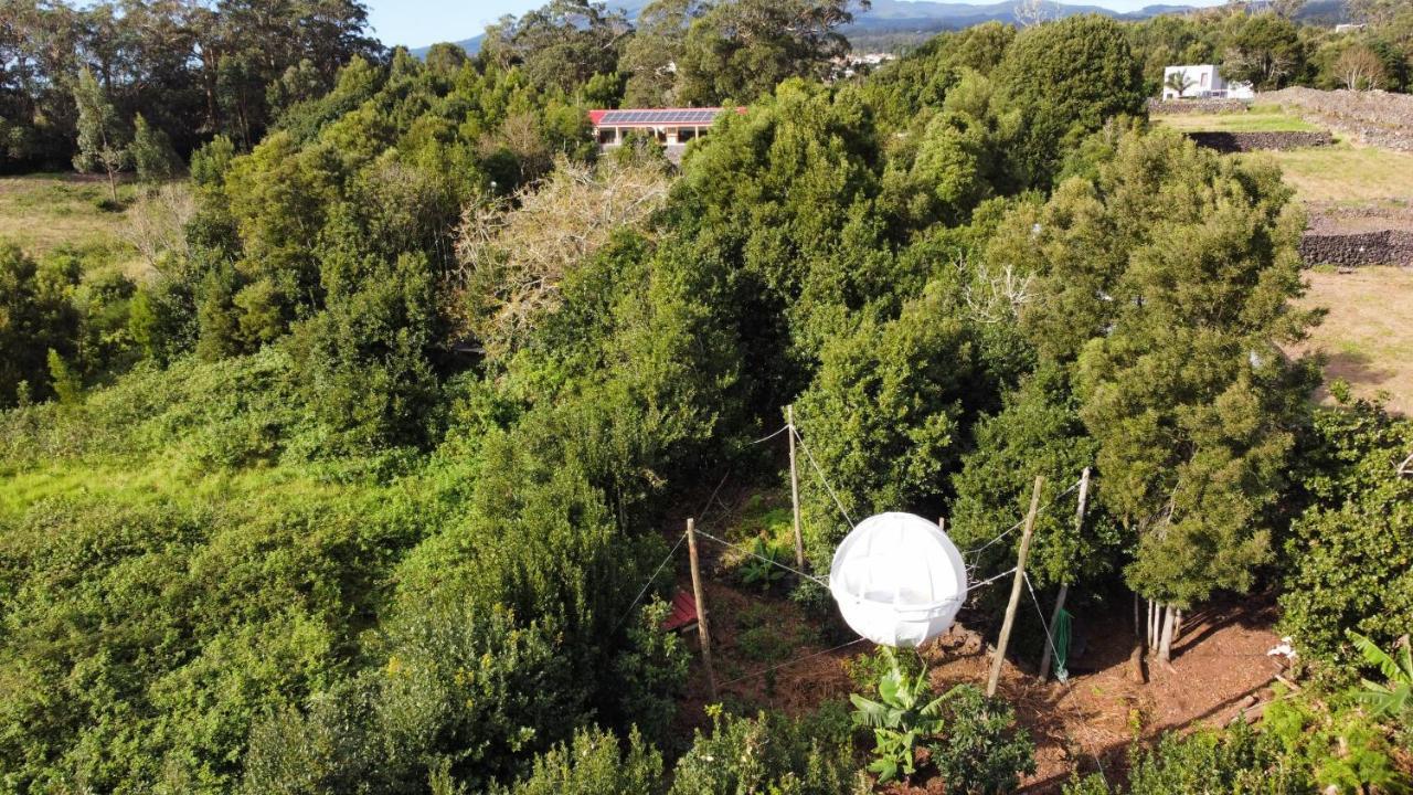 Vila Quinta Do Abacate - Glamping Park Angra do Heroísmo Exteriér fotografie