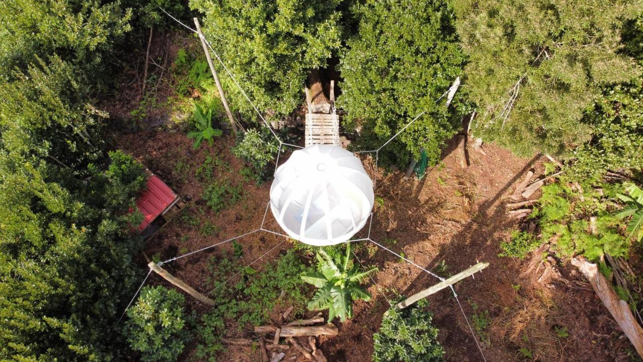 Vila Quinta Do Abacate - Glamping Park Angra do Heroísmo Exteriér fotografie