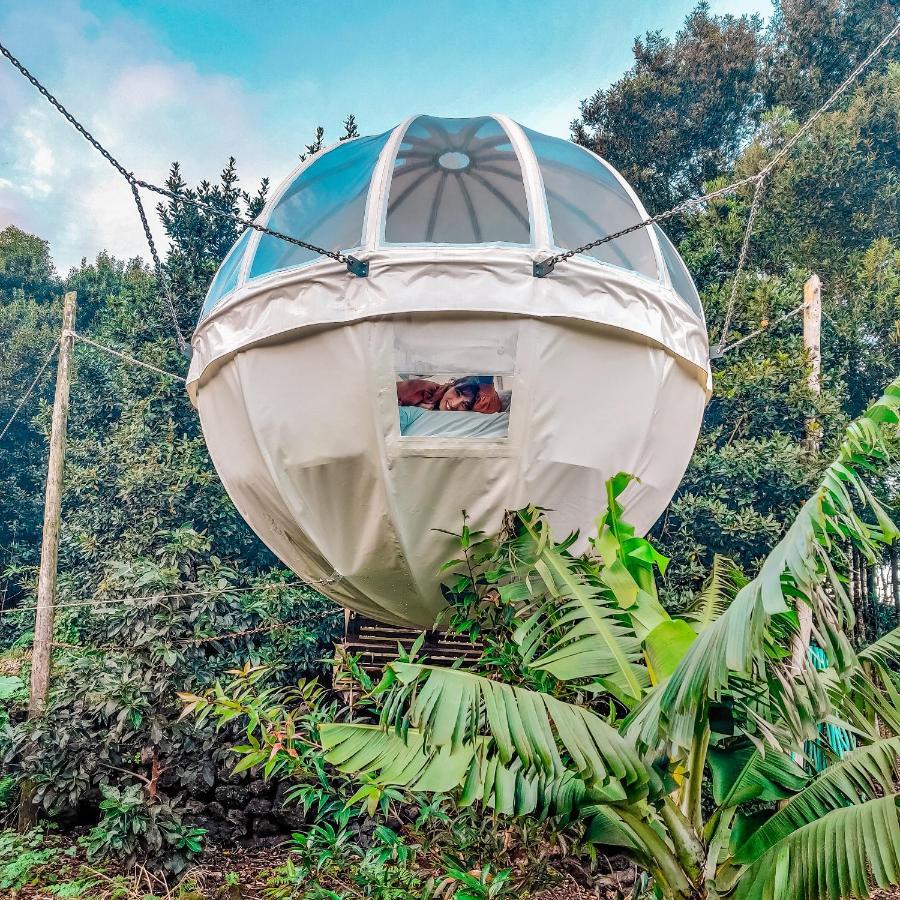 Vila Quinta Do Abacate - Glamping Park Angra do Heroísmo Exteriér fotografie