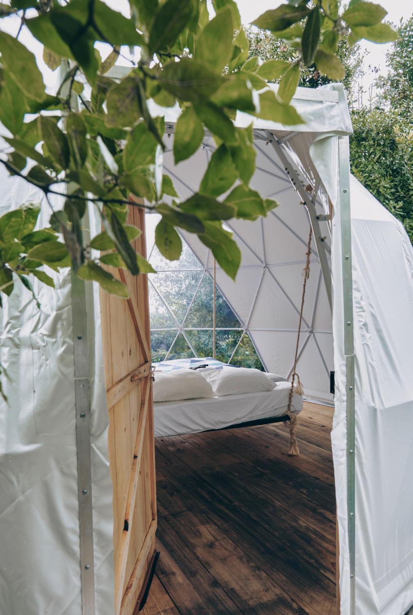 Vila Quinta Do Abacate - Glamping Park Angra do Heroísmo Exteriér fotografie